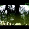 Cartoon: MH - Something in the Water... (small) by MoArt Rotterdam tagged rotterdam,water,dark,mysterious,reflection,reflectie,weerspiegeling,trees,bomen