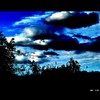 Cartoon: MH - The German Clouds II (small) by MoArt Rotterdam tagged duitsewolken germanclouds herzogenrath lookingup kijkomhoog sky lucht wolken bomen tree