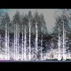 Cartoon: MH - The Ice Queens Forest (small) by MoArt Rotterdam tagged rotterdam trees bomen bos woud forest wood ijskoningin icequeen ingang entrance cold koud nolove geenliefde