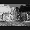 Cartoon: MH - Two Horses_blended (small) by MoArt Rotterdam tagged zuidlimburg sandsculpture sand zandsculptuur zandsculpturenfestival2010 kasteelhoensbroek hoensbroek zandsculpturenhoensbroek grazen grazing paarden horses