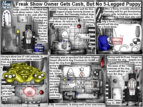 Cartoon: Freak show owner gets cash (medium) by bob schroeder tagged comic,webcomic,puppy,judge,freak,show,cash,dog,contract,chihuahua,terrier,five,legged,amazing,animal,media,two,headed,turtle,six,eight,cow,pig,extra,paw,cuteness