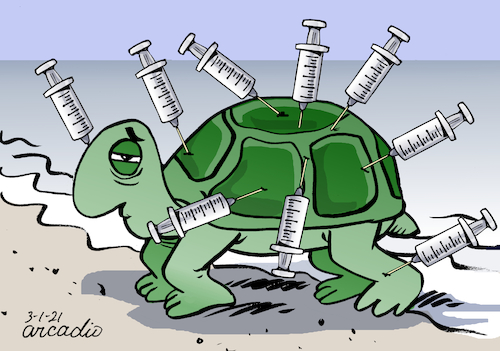 Cartoon: After vaccination. (medium) by Cartoonarcadio tagged vaccination,pandemic,covid,19