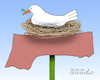 Cartoon: Gaza new nest for peace. (small) by Cartoonarcadio tagged gaza,peace,israel,hamas,middle,east