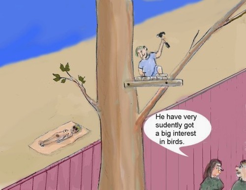 Cartoon: Birds (medium) by Hezz tagged bird,vogel