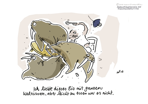 Cartoon: Mit Ganzen (medium) by MarcoFinkenstein tagged walrösser,ganze,eis,walnüsse