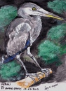 Cartoon: Heron (small) by jjjerk tagged heron,bird,wading,saint,annes,park,cartoon,dublin,ireland