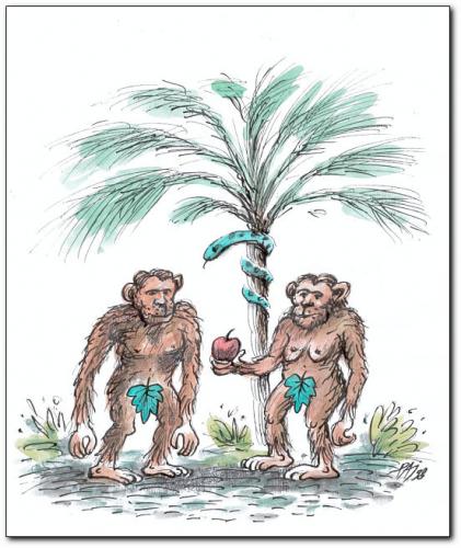 Cartoon: eden (medium) by penapai tagged monkey,paradise,paradies,adam,eva,affe,apfel,frucht,locken,verführung,tier,evolution,religion