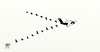 Cartoon: Ducks in a row (small) by tonyp tagged arp,arptoons,ducks,planes