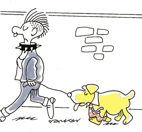Cartoon: Collared. (medium) by daveparker tagged hippy,dog,collars,