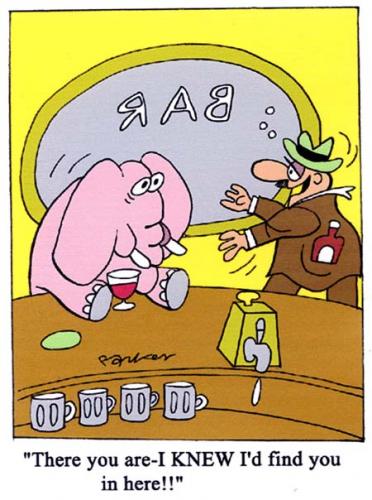 Cartoon: pink elephant (medium) by daveparker tagged pink,elephant,bar,drunk,