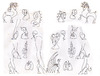 Cartoon: old drawings (small) by juniorlopes tagged dinocyber,sketches,dibujos