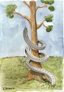 Cartoon: Parasites (small) by Marcelo Rampazzo tagged parasites,tree,nature,ecology,urbanism,cityes