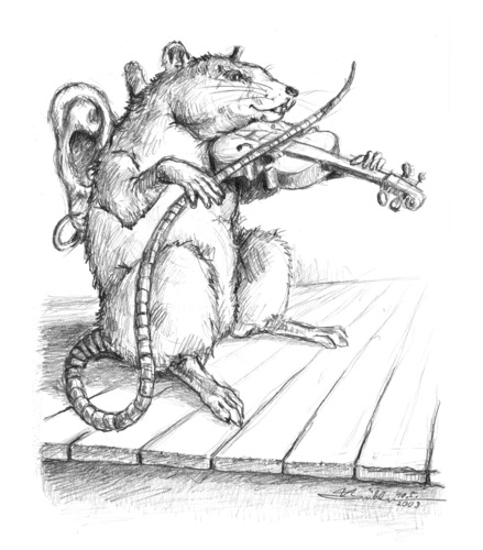 Cartoon: Musikratten 1 (medium) by Thomas Bühler tagged tiere,heim,ratte,musik