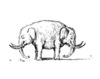 Cartoon: Elefant (small) by Thomas Bühler tagged elefant,tier,natur,doppel