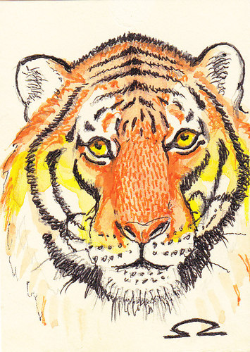Cartoon: tiger (medium) by zed tagged tiger,global,warming