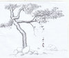 Cartoon: tree (small) by zed tagged tree,ecologie,global,warming