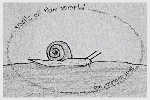 Cartoon: the common snail - no.1 (medium) by schmidibus tagged gemütlich,langsam,kriechen,haus,gewöhnlich,allgemein,schnecke,world,snail