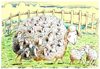 Cartoon: Even_sheep_aren-t_the_same_today (small) by firuzkutal tagged sheep,nostalgi,society,stupid,weak,changing,game,competition,violence,empathy,time,thoughts,dream,etnic,moral,immigrant,new,firuzkutal