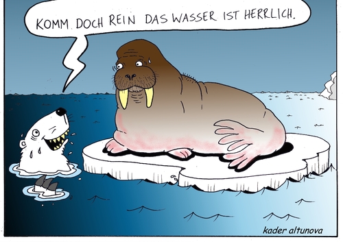 Cartoon: eisbär (medium) by kader altunova tagged eis,ozean,walross,eisbär,eisberg,nordpol,kalt