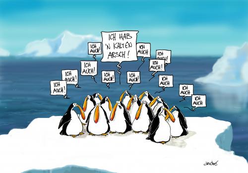 Cartoon: Pinguine habens auch nicht leich (medium) by andre sedlaczek tagged pinguine,kalt,arsch,pinguine,kalt,pinguin,kälte,arktis,winter,tiere