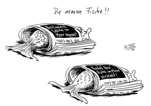 Cartoon: Arme Fische (medium) by Stuttmann tagged fische,rudolf,hess,binladen
