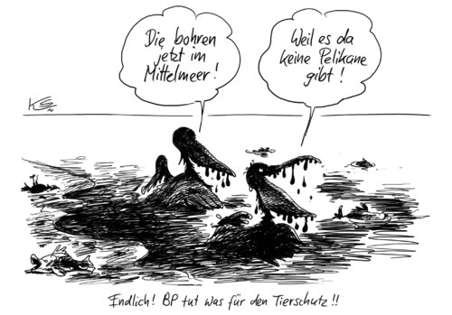 Cartoon: Pelikane (medium) by Stuttmann tagged bp,ölbohrungen,mittelmehr,ölpest,bp,ölbohrungen,mittelmehr,ölpest,atlantik,bohren,golf von mexiko,katastrophe,leck,meer,meere,natur,naturkatastrophe,öl,ozean,ressourcen,schwarze pest,umwel,umweltkatastrophe,golf,von,mexiko,schwarze,pest,tiere,pelikan