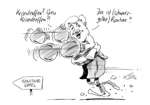 Cartoon: Routine (medium) by Stuttmann tagged schwarzgelb,cdu,csu,fdp,seehofer,schwarzgelb,cdu,csu,fdp,horst seehofer,schwarz,gelb,parteien,partei,krise,krisentreffen,horst,seehofer