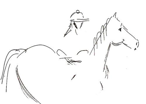 Cartoon: Equestrian Quick Sketch (medium) by remyfrancis tagged horse,rider,equestrian,arabian,stallion,drawing,quick,sketch