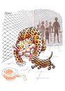 Cartoon: Leopards (small) by ozbek tagged zoo