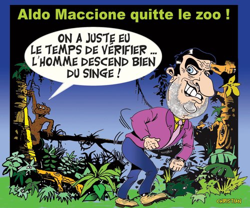Cartoon: ALDO MACCIONE (medium) by CHRISTIAN tagged maccione,ferme,celebrites,afrique