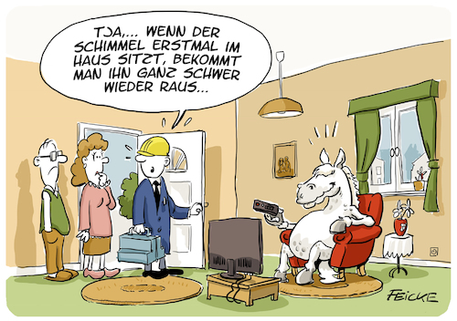 Schimmel im Haus