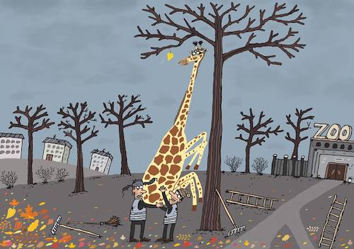 Cartoon: Das Letzte Blatt (medium) by Sergei Belozerov tagged blatt,baum,tree,leaf,park,zoo,herbst,autumn,giraffe,hausmeister