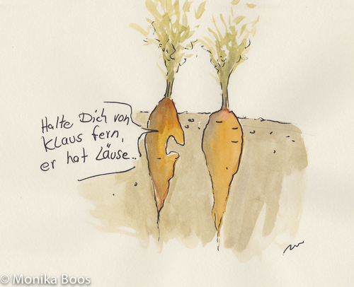 Cartoon: Möhren (medium) by monika boos tagged möhren,carrots,läuse,greenflies