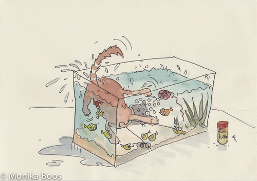 Cartoon: shit happen (medium) by monika boos tagged katze,cat,wasser,water,aquarium,revenche,fische,fish