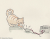 Cartoon: High Voltage (small) by monika boos tagged cat katze high voltage strom gemein