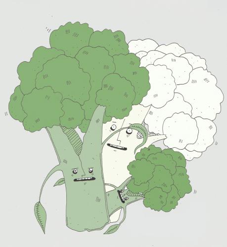 Cartoon: broccoli and cauliflower (medium) by jannis tagged food