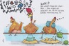 Cartoon: Vibro Ei (small) by secretcircle tagged romantik,liebe,paar,hühner,huhn,chicken,gackern,stall,tier,gockel,henne,ei,eier,egg,kamm,wut,ärger,schlafen,stange,stroh