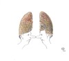 Cartoon: Lungenflügel-Adjutanten (small) by Erwin Pischel tagged flügeladjutanten,lungen,lunge,lung,lungs,lungenflügel,nase,pischel
