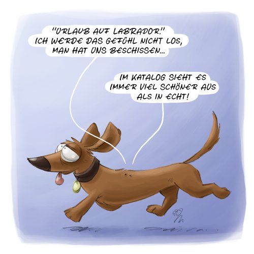 Cartoon: LACHHAFT Cartoon No. 376 (medium) by LACHHAFT tagged cartoon,comic,lachhaft,michael,mantel,witze,urlaub,ferien,hund,flöhe,touristen,reise,reise,touristen,flöhe,hund,ferien,urlaub,tier,tiere,hunde,floh,labrador,verreisen,tourismus