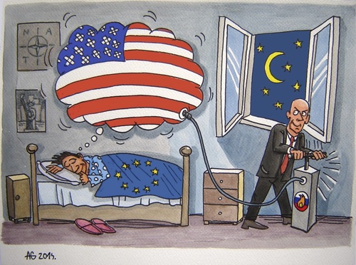 Cartoon: American dream (medium) by caknuta-chajanka tagged america,politics