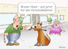 Apportieren