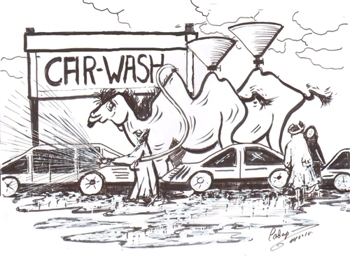 Cartoon: car wash in the desert (medium) by cabap tagged cartoon
