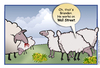 Cartoon: Animal Farm on Wall Street (small) by carol-simpson tagged wall,street,sheep,occupy,wealth,poverty