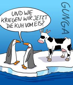 Cartoon: Kuh vom Eis (medium) by Gunga tagged kuh,vom,eis