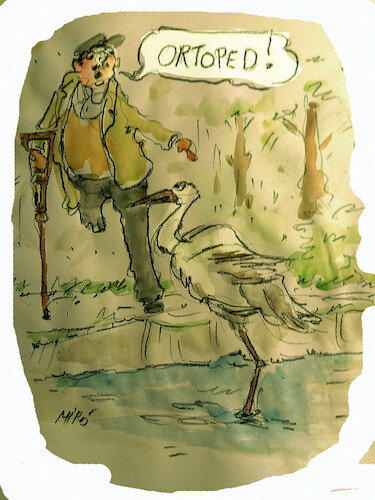 Cartoon: no text (medium) by Miro tagged no,text