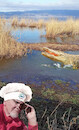 Cartoon: no comment (small) by Miro tagged no,comment