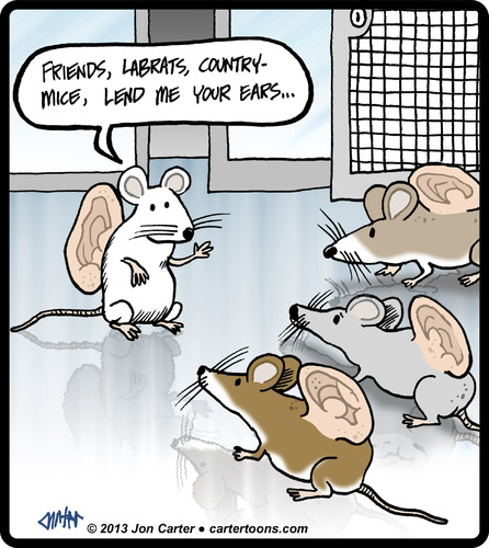 Cartoon: Mouse Listeners (medium) by cartertoons tagged mouse,mice,lab,rats,experiments,shakespeare,genetics,mouse,mice,lab,rats,experiments,shakespeare,genetics