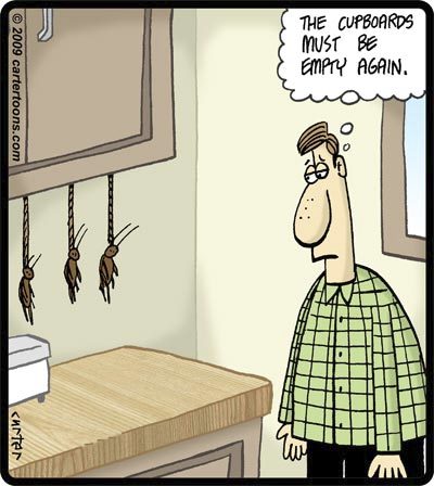 Cartoon: Suicidal Cockroaches (medium) by cartertoons tagged kitchen,cupboards,cabinets,cock,roaches,bugs,insects,suicide,food
