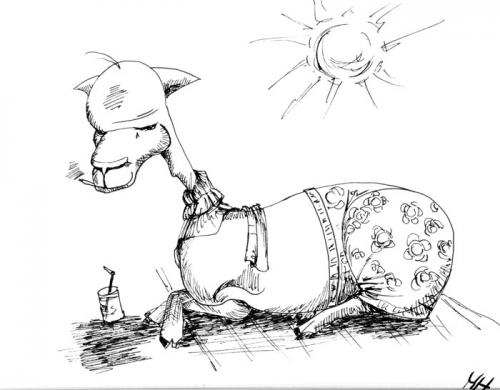Cartoon: Lama (medium) by Hirschpiel tagged lama,tier,sommer,sonne,strand,drink,ferien,urlaub