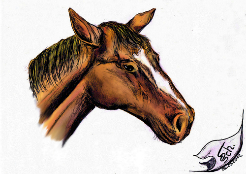 Cartoon: Pferd 2012 in Techni-Color (medium) by swenson tagged pferd,horse,tier,animal,animals,2012